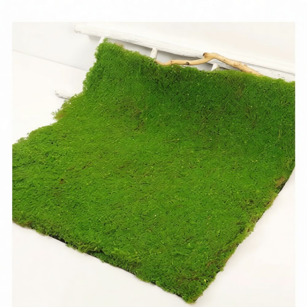 Kunstgras-Matte aus Kunstmoos, – Preserved Moss Sheet Bewertung und Preis