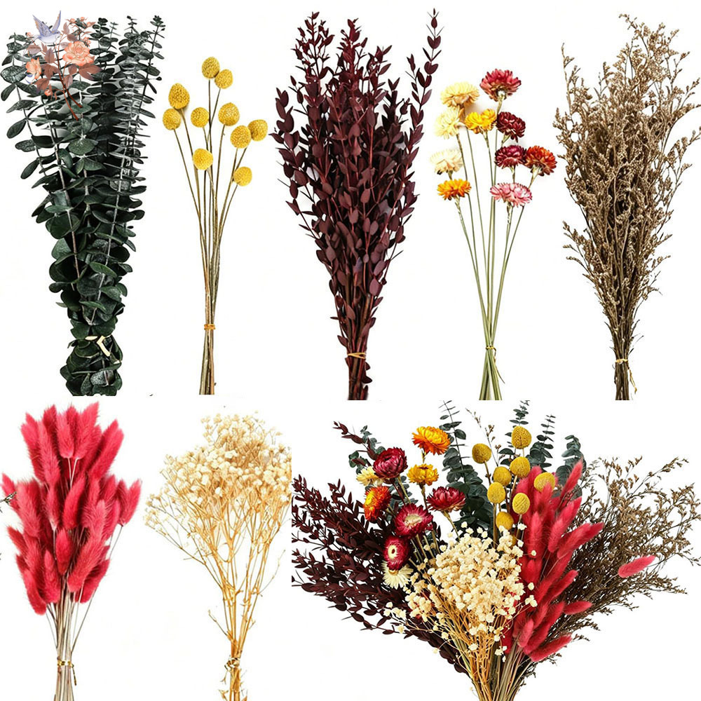 Getrocknete Blumen Großpackung – Florist Supply Bulk Bewertung und Preis