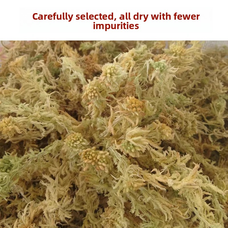 Getrocknetes Sphagnum-Moos der – Preserved Moss Sheet Bewertung und Preis